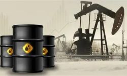 تواصل الانخفاض في أسعار النفط